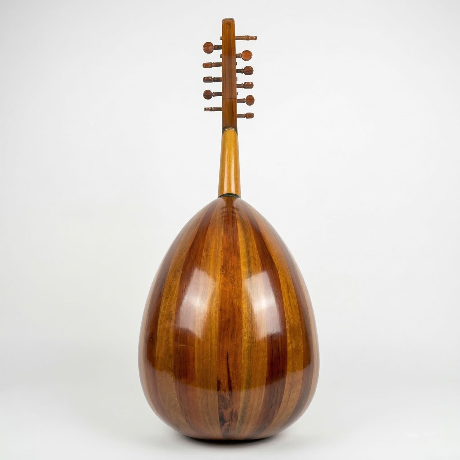 Back view of Mahmoud Safi 1955 Oud