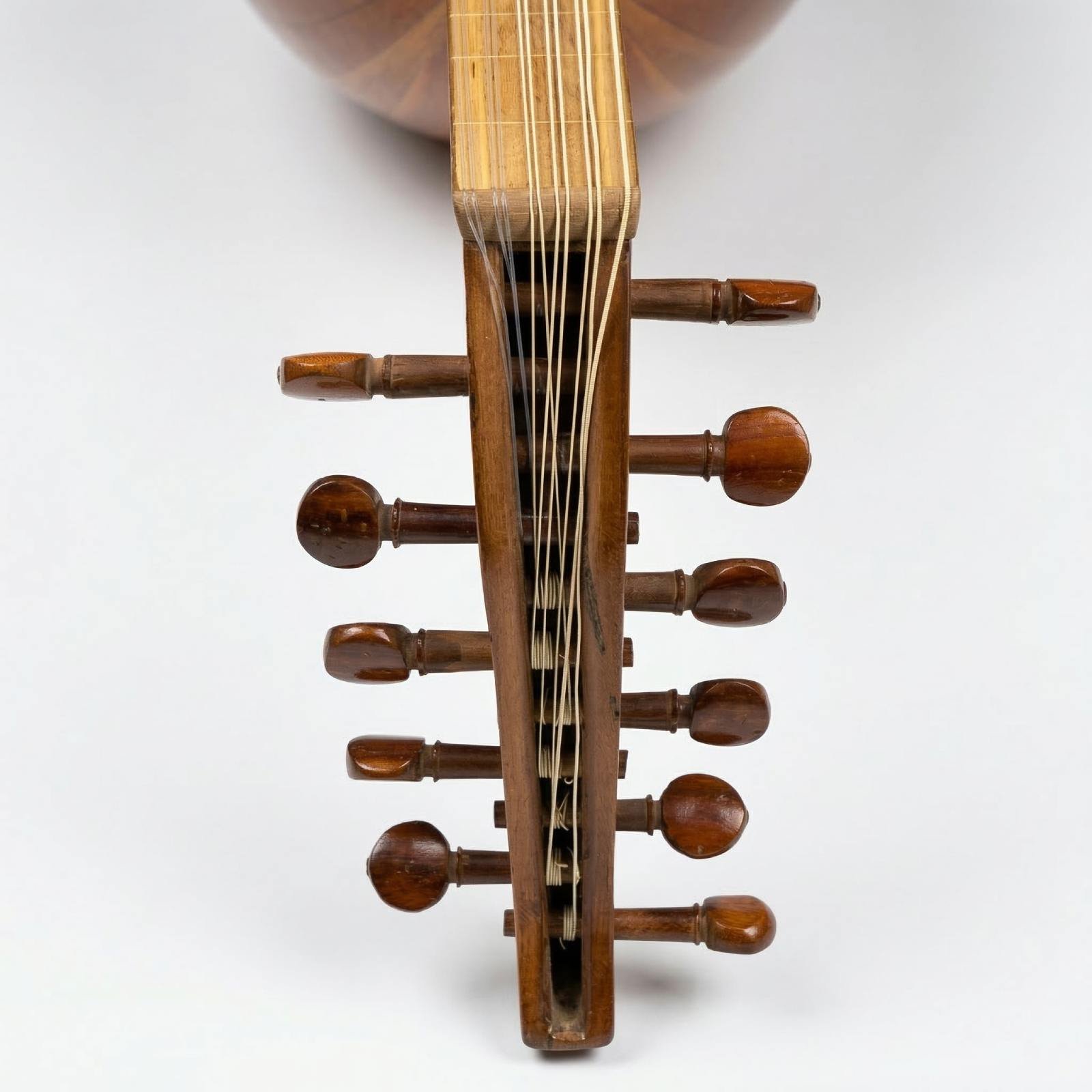 Front view of Mahmoud Safi 1955 Oud pegbox