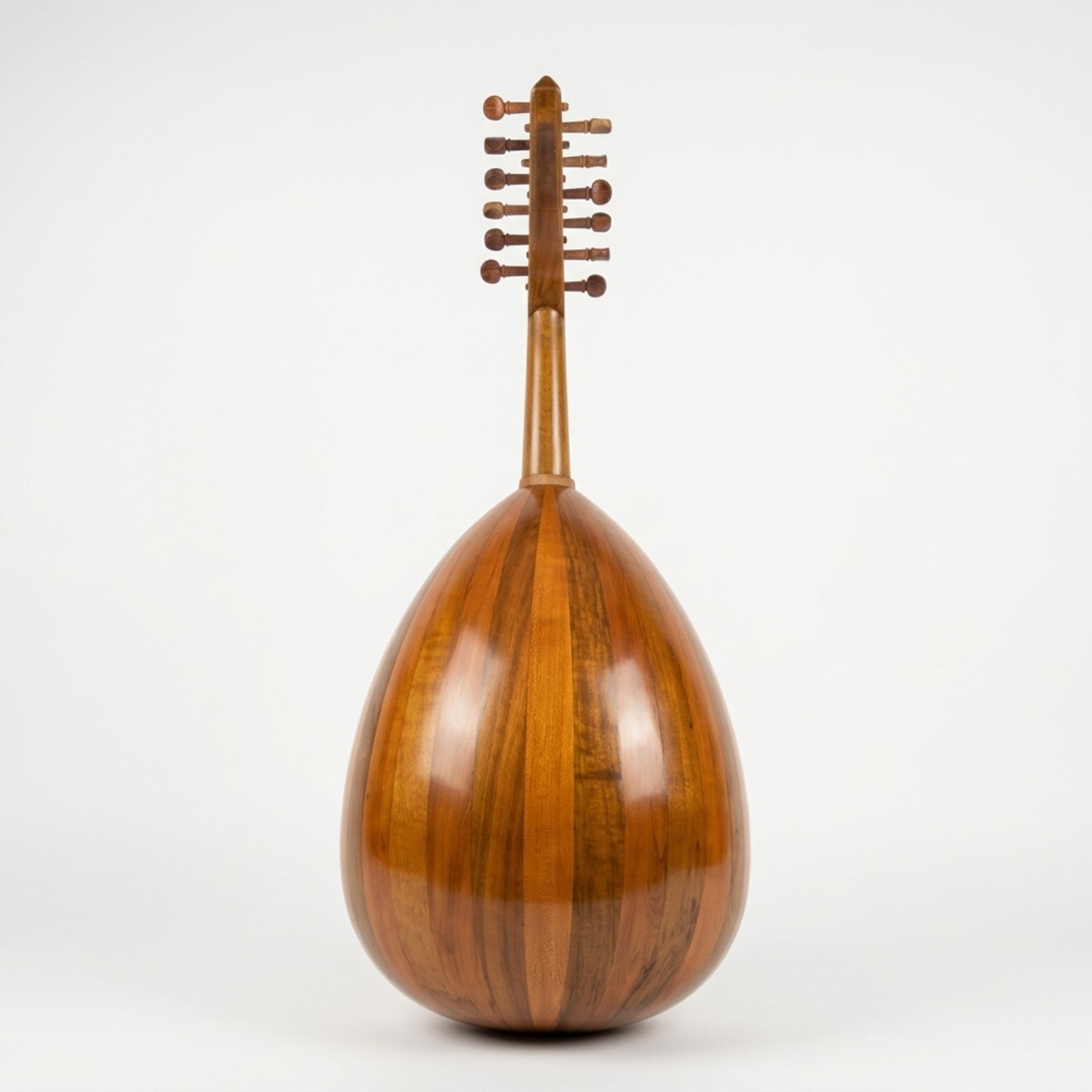 Back view of Mahmoud Safi 1957 Oud