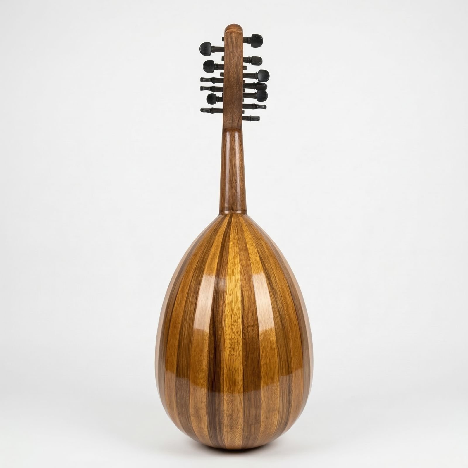 Back view of Yasser Abou Chakra Oud